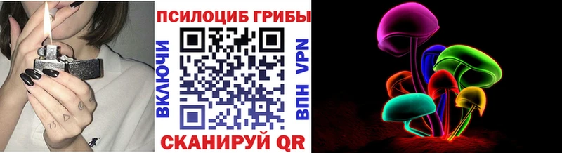 Псилоцибиновые грибы Cubensis  сайты даркнета формула  Богучар 